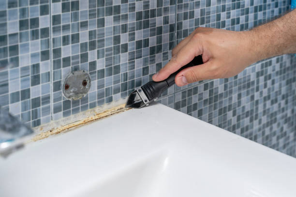 Best Commercial Mold Remediation in Choudrant, LA